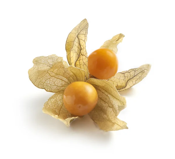 Inca çilek beyaz bir arka plan üzerinde