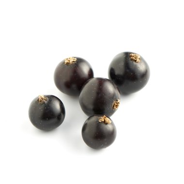 Beyaz arka planda siyah kuş üzümü