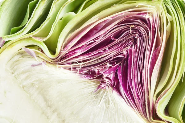 Taze kesilmiş enginar detayını kapatın