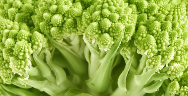 Taze yeşil Romanesco çiçeği
