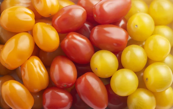 Variedades mixtas de tomates cherry — Foto de Stock