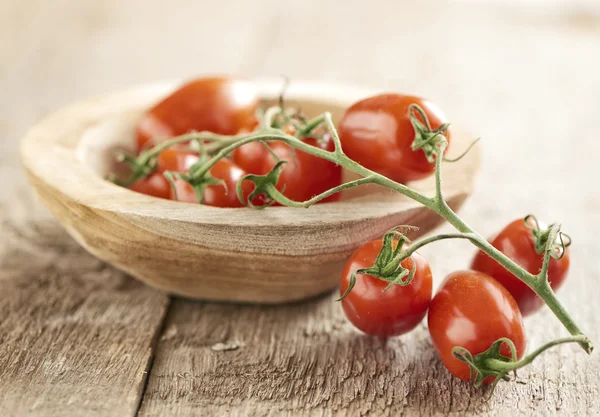 Mini san marzano tomates en rama —  Fotos de Stock