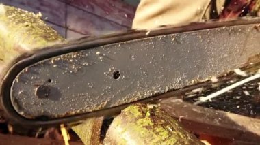 Ağır çekimde elektrikli testere. Kış mevsimi için odun hazırlıyorum. Elektrikli testere ile ahşabı kesen yavaş çekim görüntüleri.