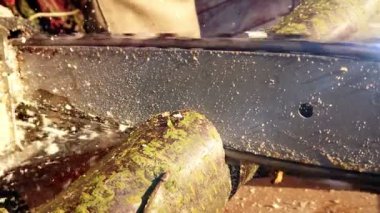 Ağır çekimde elektrikli testere. Kış mevsimi için odun hazırlıyorum. Elektrikli testere ile ahşabı kesen yavaş çekim görüntüleri.