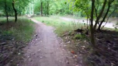 Orman yolunda bisiklete binmek. Ağaçların arasındaki yol. Steadicam yeşil ağaçtan ateş etti. Sabitlenmiş kamera görüntüsü.
