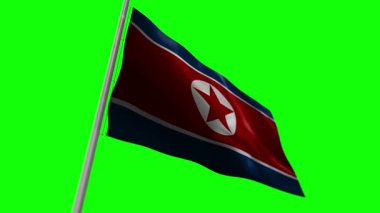 Kuzey Kore bayrak sallıyor. Rüzgarda dalgalanan Kore bayrağı pürüzsüz ve döngülü animasyon.