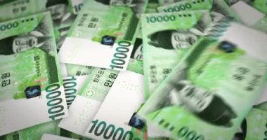 Güney Kore 10 bin won para tutuyor. Eldeki banknotların hayranıyım. KRW kağıt para. Gelir, başarı, iş, vergi, ekonomi ve finans kavramı.