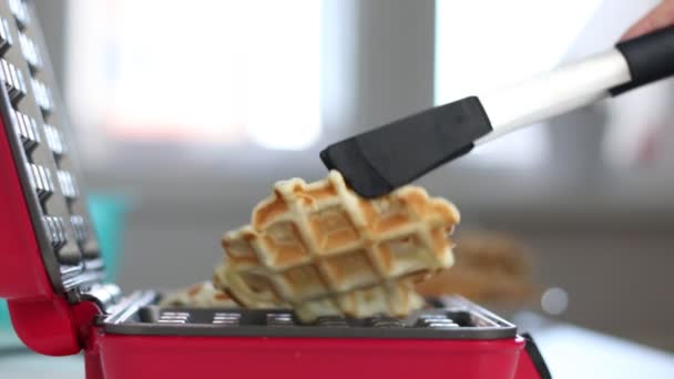 Zelfgemaakte Belgische Wafels Close Koken — Stockvideo