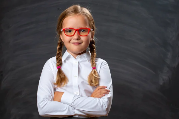 Portrait of a little girl schoolgirl in glasses on the background of a school board. Smart confident child has crossed arms and is looking at the camera.