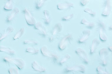 Mavi arka planda bir sürü beyaz tüy.