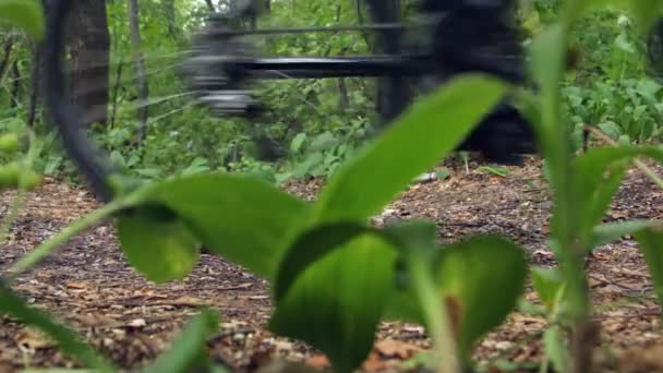Вид Збоку Велосипедні Колеса Лісі Сім Активне Свято — стокове відео