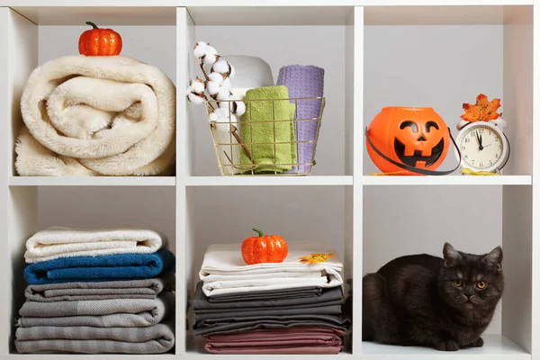 Towels, sheets, bed linen and a cat on the shelf. Textile storage and halloween celebration.