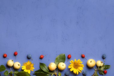 Elmalı dallar, böğürtlenli böğürtlen, mor arkaplanlı ayçiçeği çiçekleri. Şükran Günü hasadı cadılar bayramı kopyalama alanı.