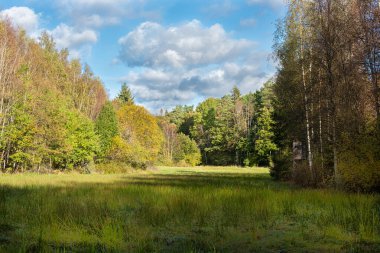 Sonbaharda ormandaki bir açıklıkta av kulesi..