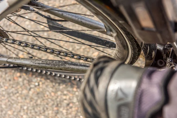 Rueda Trasera Cadena Una Bicicleta — Foto de Stock