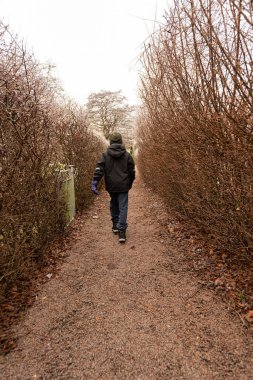 İki çit arasında dar bir yolda yürüyen kişi..