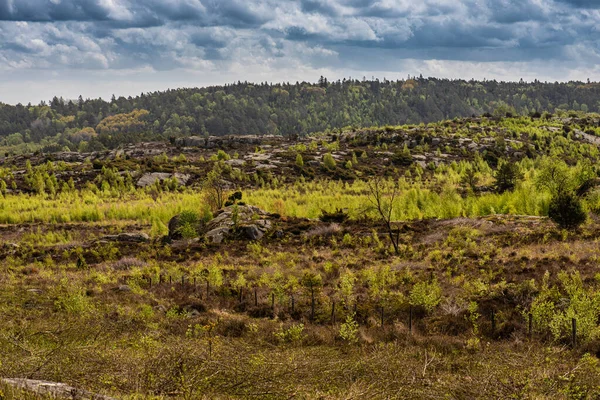 Blick Über Hügel Und Wald — Stockfoto