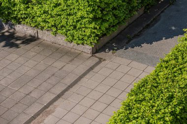 Küçük bahçelerin yanındaki yeşil çitler ve küçük beton yollar..