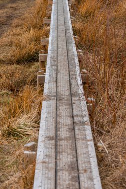 Islak bir otlağın üzerinde bir kaldırım..