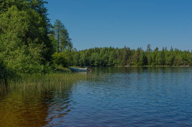 Küçük bir gölün etrafındaki ormanlık alanda demirli bir tekne var..