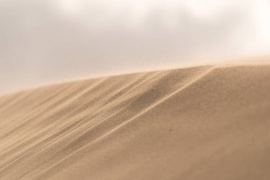 Çöldeki kumulların ince dokusu ve çizgileri.