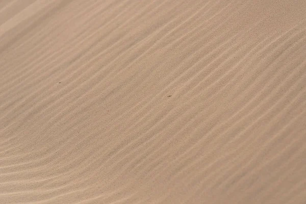 砂漠の砂丘の良い質感とライン — ストック写真