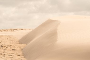 Çöldeki kumulların ince dokusu ve çizgileri.