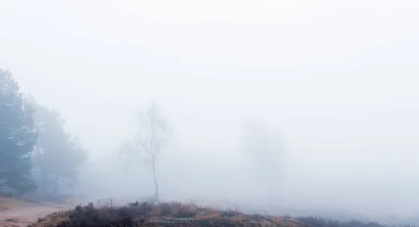 Camino Paisaje Niebla —  Fotos de Stock