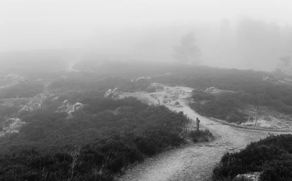 Camino Paisaje Niebla —  Fotos de Stock