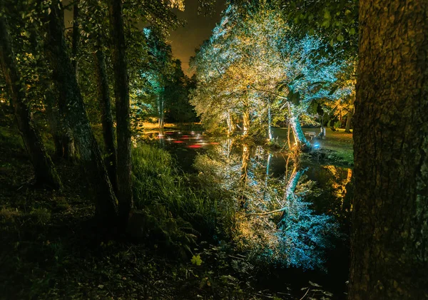 Árboles Iluminados Creativamente Estanque Parque Por Noche —  Fotos de Stock