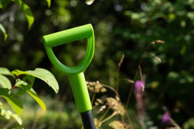 Bahçedeki küreğin yeşil plastik sapı.