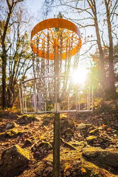 Ormandaki golf sepetinde güneş ışığı parlıyor.