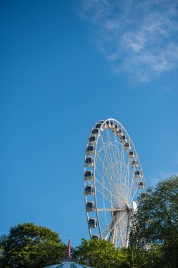 Göteborg, İsveç - 18 Haziran 2013: Yeşil Arkaplanda Küçük Asılı Örümcek Mor Anemone