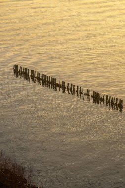 Altın su yansımalarından çıkan tahta direkler.