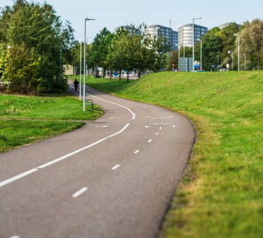 Şehir parkında eğri asfalt bisiklet yolu