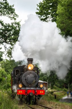 Antika müze buhar treni yeşil ormandan yaklaşıyor.