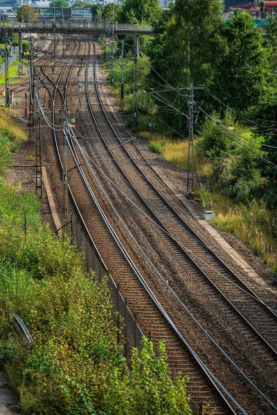 Yeşil arazide uzanan birden fazla demiryolu hattı var.