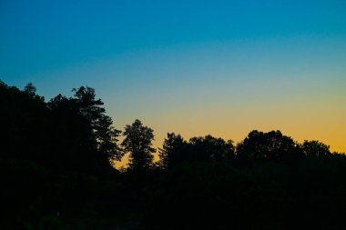 Gün batımında alacakaranlık gökyüzüne karşı ağaç siluetleri