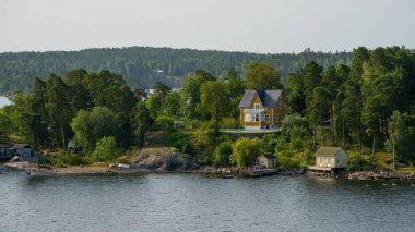 Yeşil ormanı çevreleyen sarı kıyı evi