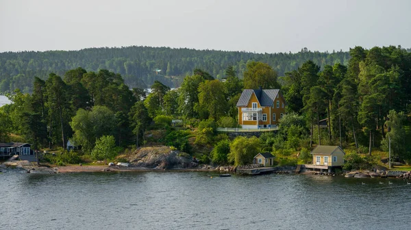 Yeşil ormanı çevreleyen sarı kıyı evi