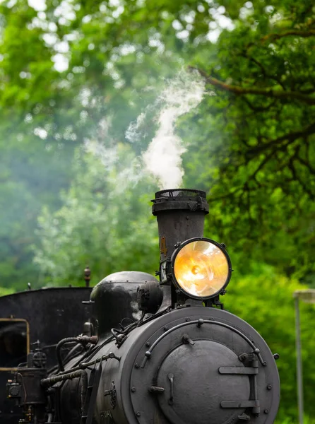 Antika müze buhar treni yaklaşıyor.