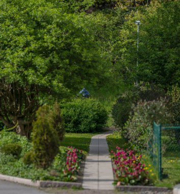 Çiçeklerle dolu bahçede dar bir yol.