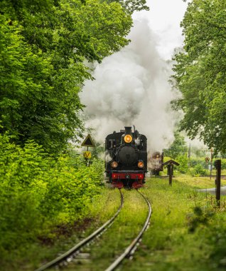 Yeşil ormanlarla çevrili tarihi buhar treni