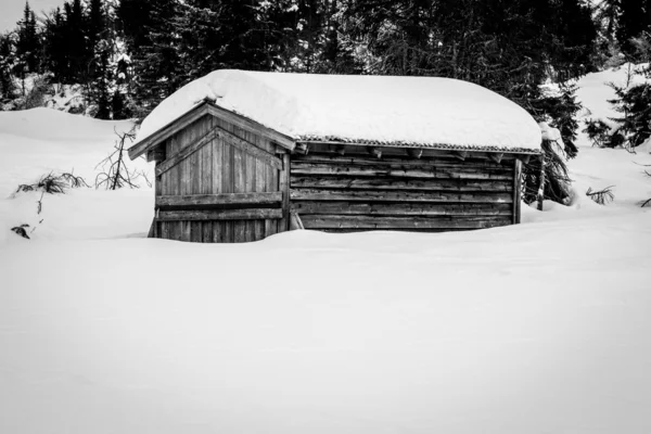 Oude cabin — Stockfoto