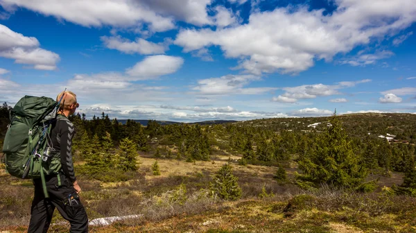 Paisaje noruego y un joven Imágenes De Stock Sin Royalties Gratis