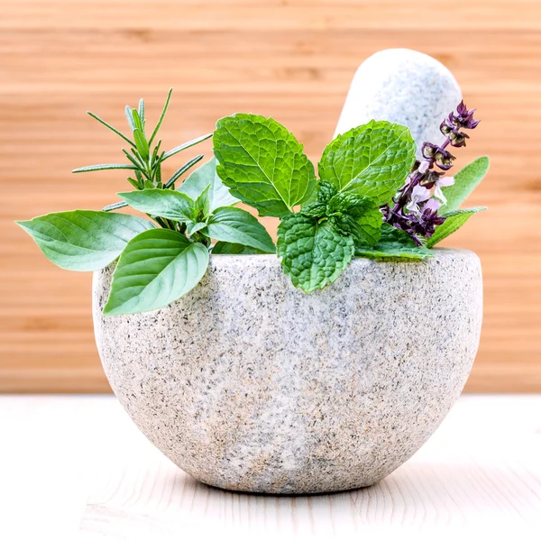 Alternatywna opieka zdrowotna świeże zioła bazylia, szałwia, rozmaryn i mi — Zdjęcie stockowe