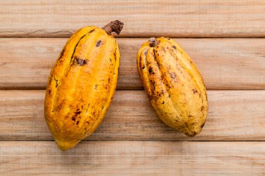 Rustik ahşap arka plan üzerinde Olgun Endonezya kakao kurulum.