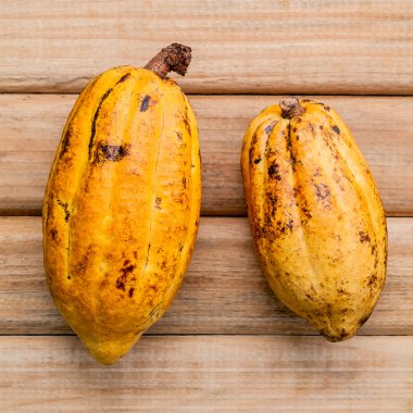 Rustik ahşap arka plan üzerinde Olgun Endonezya kakao kurulum.