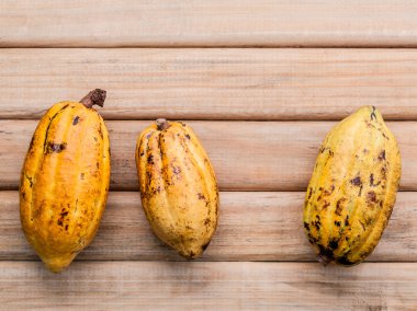 Rustik ahşap arka plan üzerinde Olgun Endonezya kakao kurulum.