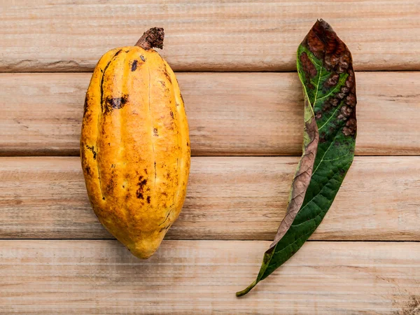 El cacao maduro de Indonesia sobre fondo rústico de madera . —  Fotos de Stock